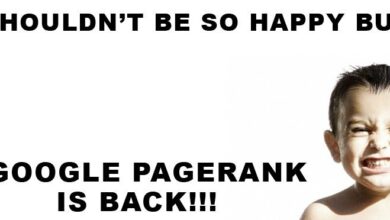 Google pagerank toolbar no more future updates