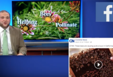 Paid social creative refresh