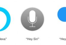 Future assistants voice travel hospitality