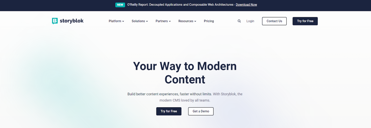 Headless cms best optimize seo