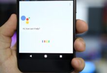 Everything need know google assist google home seo marketing