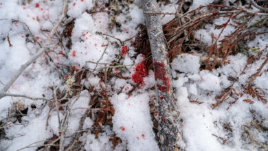 Living with passion advanced tracking tips with paul faust