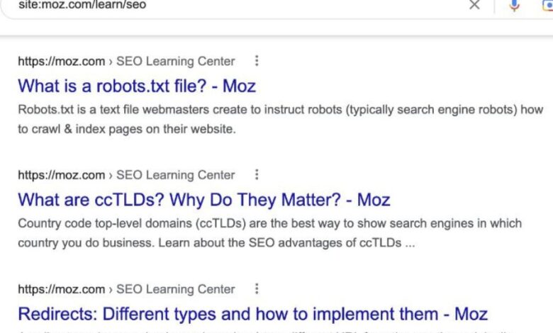 What are google search operators