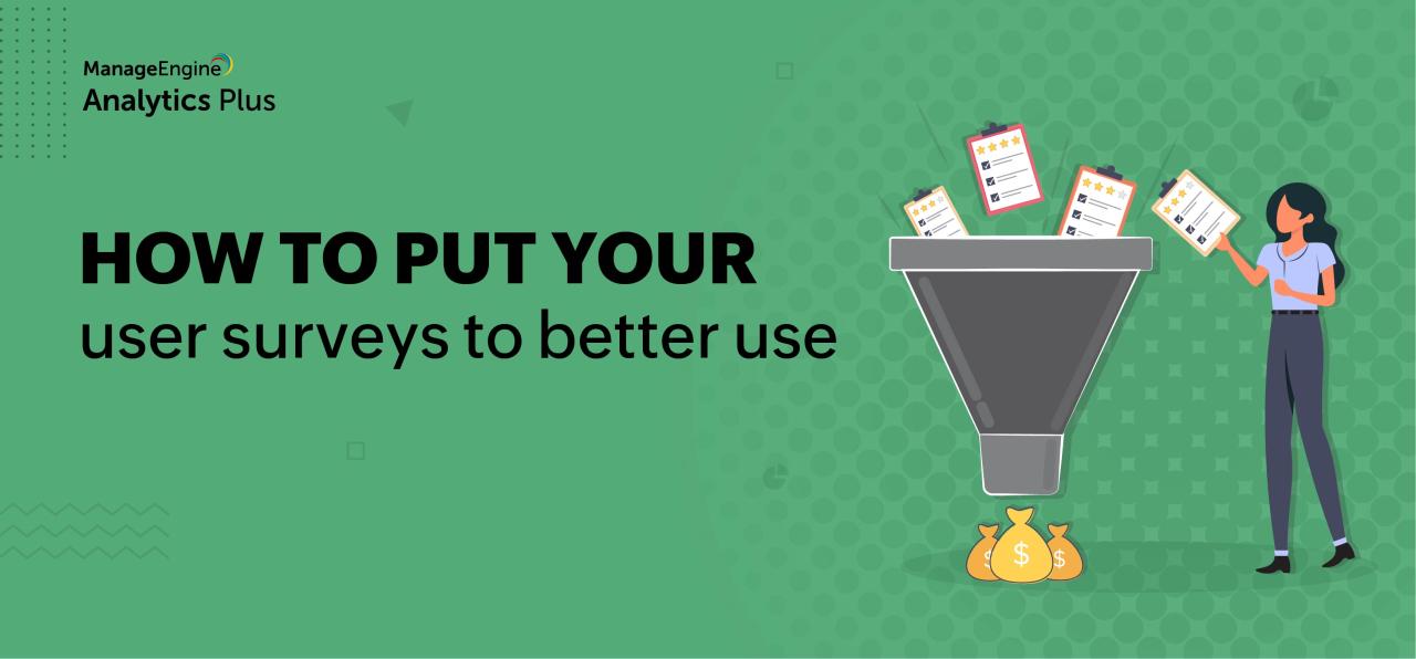 User surveys