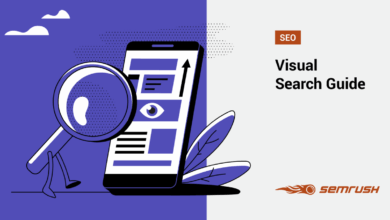 Visual search