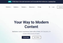 Headless cms best optimize seo
